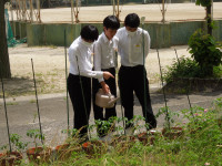 DSCN4408