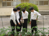DSCN4542
