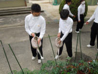 DSCN4533