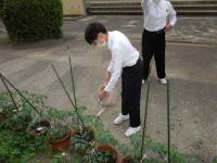 DSCN4535