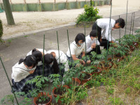DSCN4536