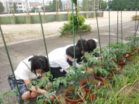 DSCN4537