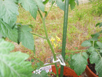 DSCN4538