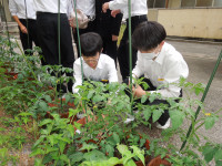 DSCN4541