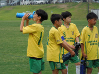DSCN4742