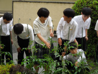 DSCN4841