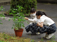 DSCN4843