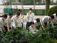 DSCN4844
