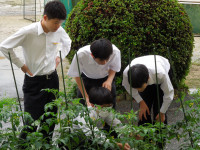 DSCN4845