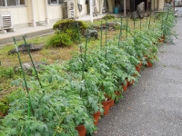 DSCN4832