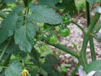DSCN4835