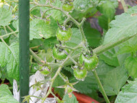 DSCN4837