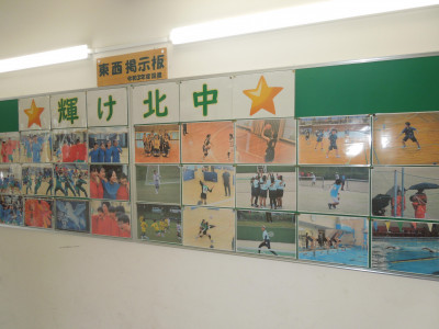 DSCN6141