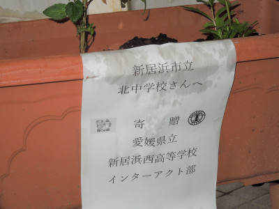 DSCN6255