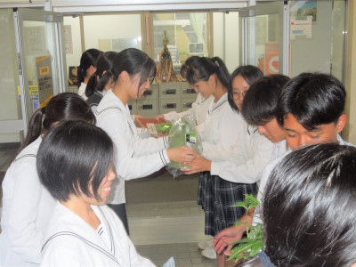 DSCN6256