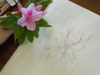 DSCN8891