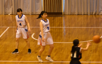 バスケット (1)