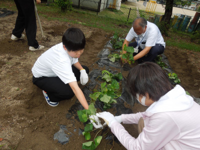 DSCN8996