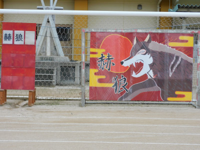 DSCN0728