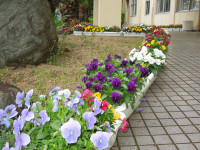 DSCN4006