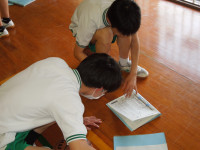DSCN4246