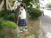 DSCN5004