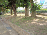 DSCN5006