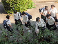 DSCN5033