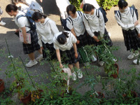 DSCN5035
