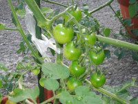 DSCN5041