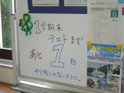DSCN5032