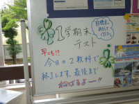 DSCN5073