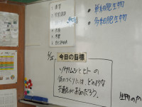 DSCN5108