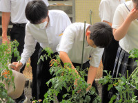 DSCN5124