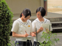 DSCN5122