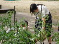 DSCN5123