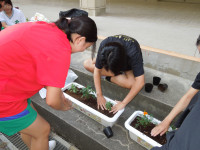 DSCN5263