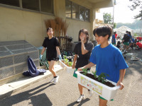 DSCN5268