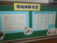 DSCN5307