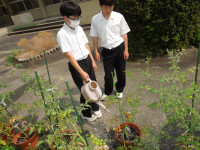 DSCN5352