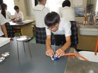 DSCN5369