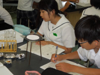 DSCN5375