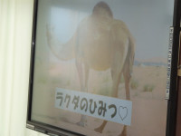 DSCN5471