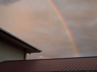 DSCN5652