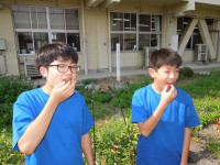DSCN5671