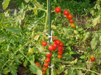 DSCN5672