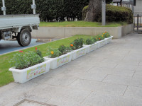 DSCN5703