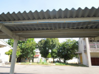 DSCN5674