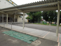DSCN5685