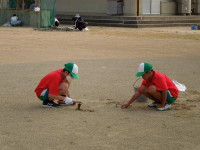 DSCN5879